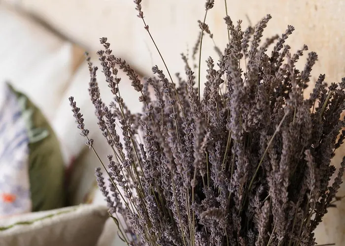 Отель Heybe & 3*